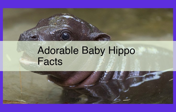 Discover the Enchanting World of Baby Hippos: Fascinating Traits, Challenges, and Conservation