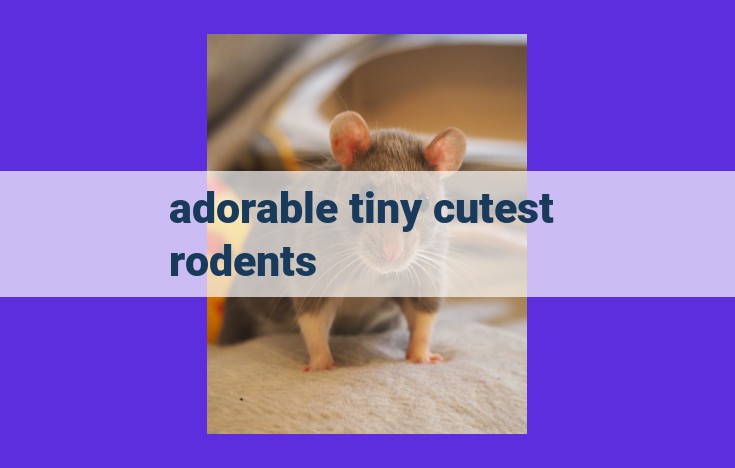 adorable tiny cutest rodents