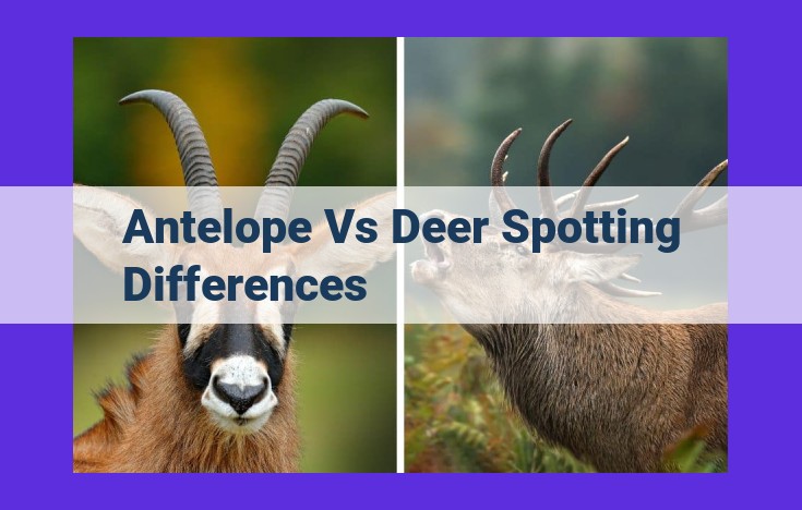 Antelope vs. Deer: Unraveling the Distinct Differences