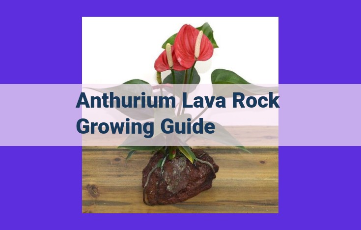 How to Cultivate Thriving Anthuriums in Lava Rock: A Comprehensive Guide