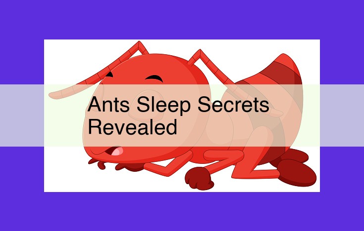 Unlock the Secrets of Ant Sleep: Duration, Patterns, and Brain Rhythms