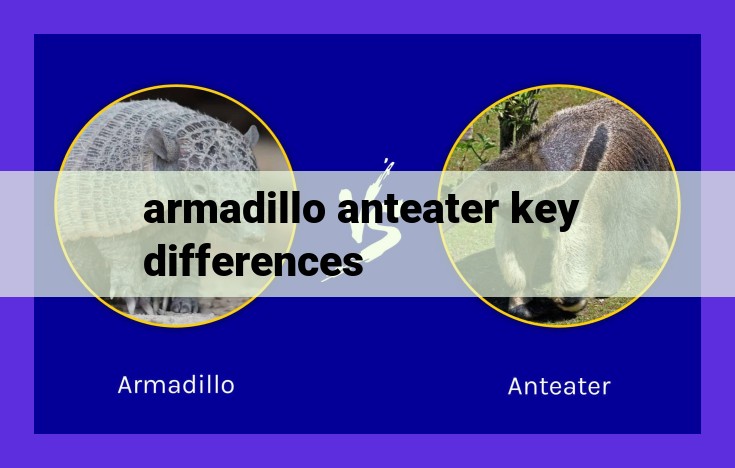 Armadillos vs. Anteaters: Key Differences, Habitats, and Behaviors