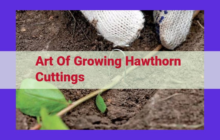 Mastering Hawthorn Propagation: A Guide to Growing Hawthorn Cuttings Successfully