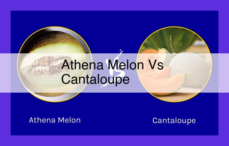 Discover the Differences Between Athena Melon and Cantaloupe: A Comprehensive Guide for Connoisseurs