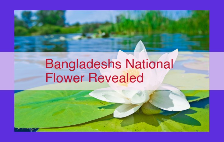 Bangladesh's National Flower Symbol: The Shapla (Nymphaea nouchali)