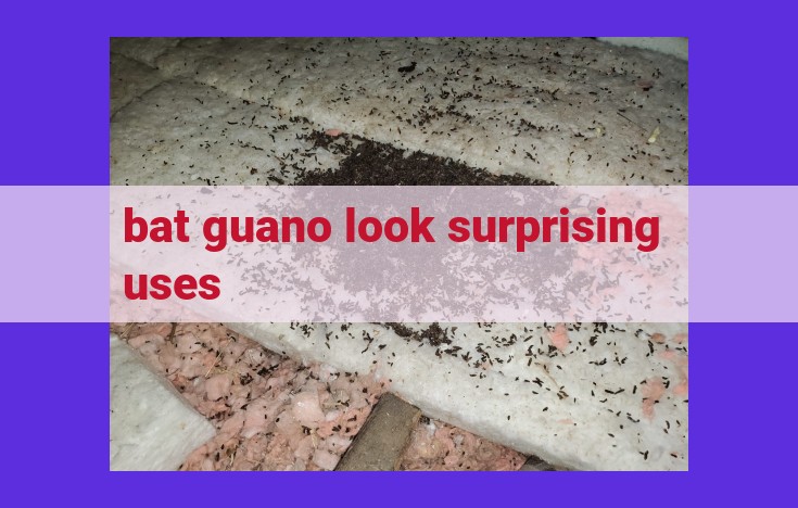 Unlock the Hidden Power of Bat Guano: A Natural Treasure with Diverse Applications