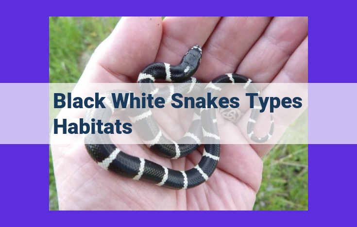 Unveiling the Black and White Spectrum of Snakes: Venomous and Non-Venomous Distinctions