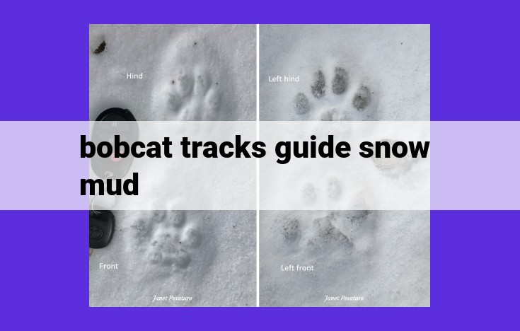 Maximize Bobcat Performance in Snow and Mud: Unlock the Potential of Specialized Tracks