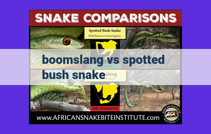 Boomslang vs Spotted Bush Snake: Differences, Distribution, and Venom