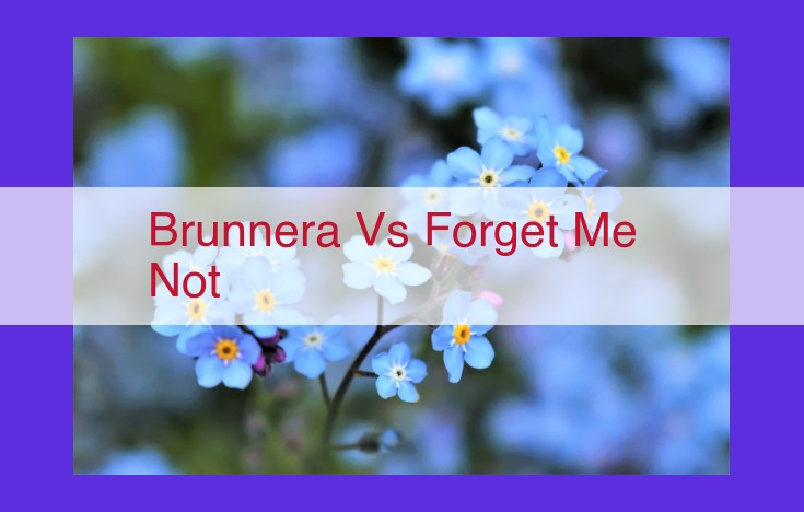 Vibrant Blue Bloomers: Brunnera and Forget Me Not for Lush Gardens