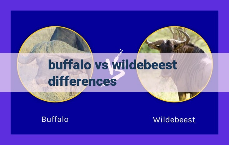 Buffalo vs. Wildebeest: Key Differences, Habitat, Diet, and Conservation