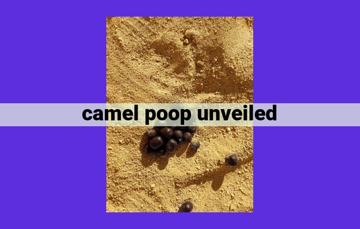 Camel Poop: Unveiling the Sustainable Potential of Camel Waste