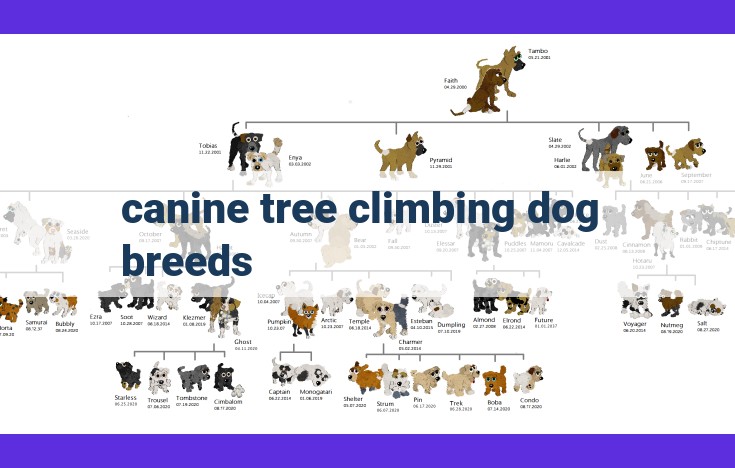 Captivating Canine Climbers: Exploring the Tree-Climbing Abilities of Dogs