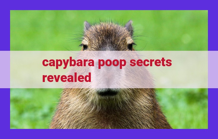 Unveiling the Surprising Value of Capybara Poop: A Multifaceted Resource