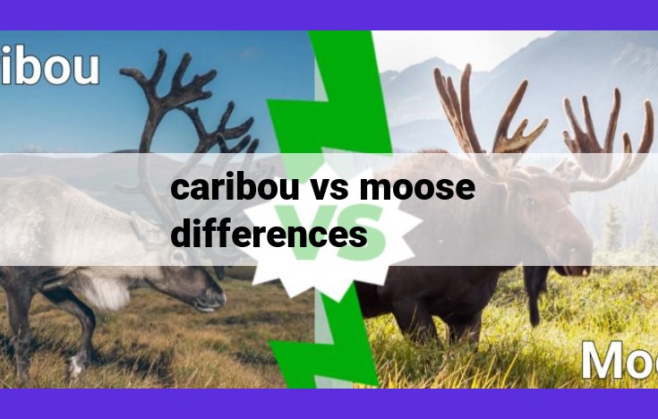 Caribou vs. Moose: A Comparative Guide to Physical Characteristics, Habitats, Diets, Behavior, and Conservation Status