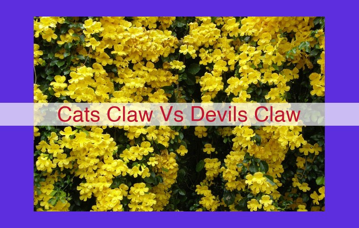 Cats Claw vs. Devil's Claw: Herbal Remedies for Immunity and Pain Relief