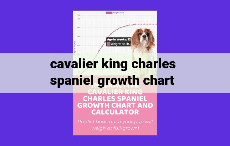 Cavalier King Charles Spaniel Growth Chart: Monitor Your Puppy's Healthy Development