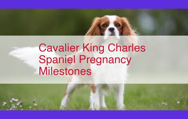 Cavalier King Charles Spaniel Pregnancy: A Comprehensive Guide to Milestones and Care