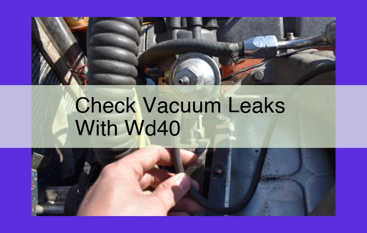 Fix Vacuum Leaks Instantly: Powerful Leak Detection Solution with WD-40