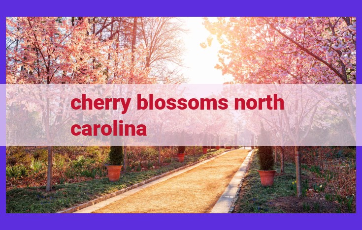 Unforgettable Cherry Blossom Experience in North Carolina: Festivals, Gardens, and Cultural Celebrations