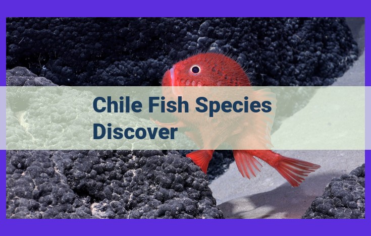 New Fish Species in Chile: Unlocking Biodiversity and Ensuring Conservation