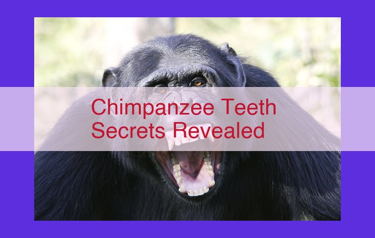 Unlocking Chimpanzee Diet and Behavior: Insights from Dental Evidence