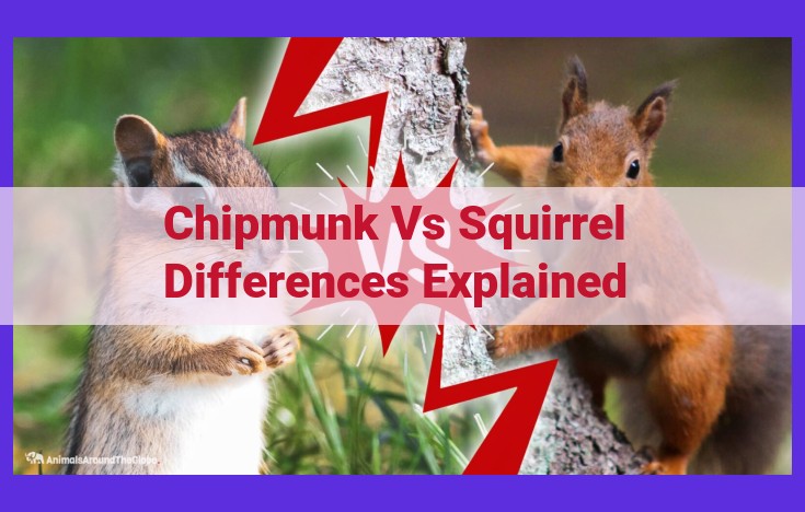 Chipmunk vs Squirrel: Key Distinctions Unveiled: Size, Tail, Stripes, and More