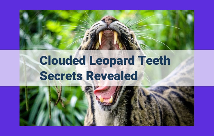 Unraveling the Dental Secrets of Clouded Leopards: Morphology, Adaptation, and Evolutionary Impact