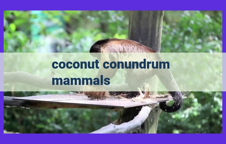 Unveiling the Cognitive Brilliance of Coconut-Cracking Mammals: Insights into Mammalian Evolution