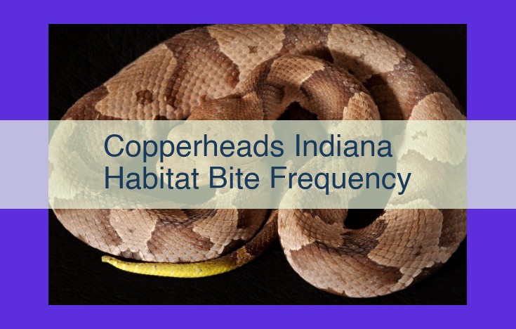 Copperhead Snake Habitat and Bite Prevention for Hikers in Indiana