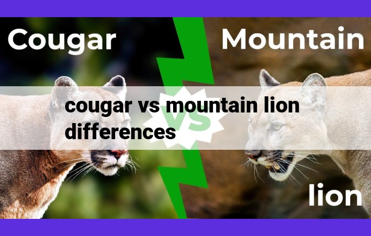 Cougars vs. Mountain Lions: Exploring the Similarities and Differences of Puma concolor