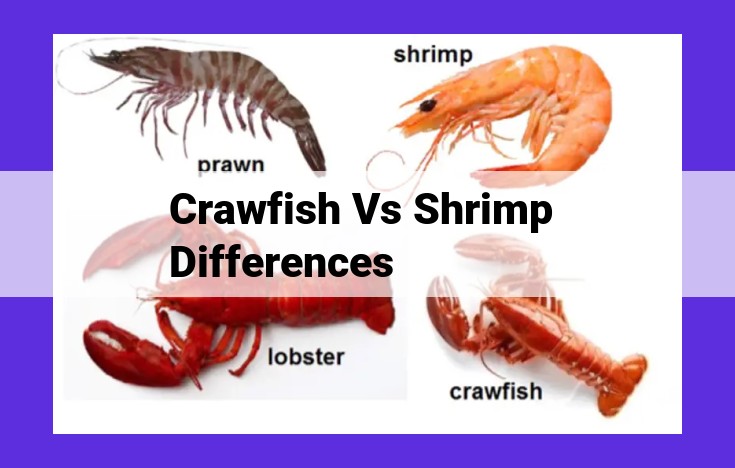 Crawfish vs. Shrimp: Comprehensive Comparison of Size, Shape, Diet, Value, and More