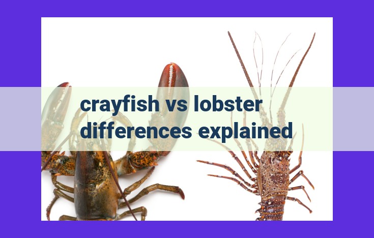 Unveiling the Differences Between Crayfish and Lobsters: Habitats, Appearance, Diet, and More