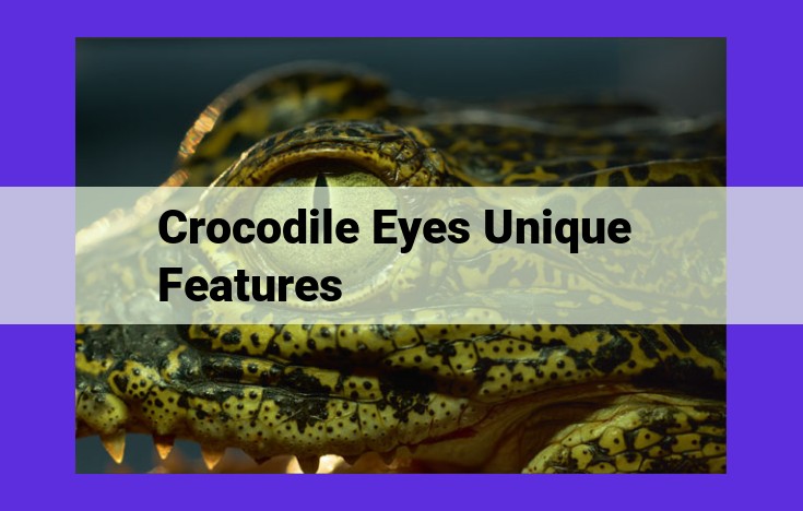 Unveiling the Superior Vision of Crocodiles: Adaptations for Aquatic and Nocturnal Dominance