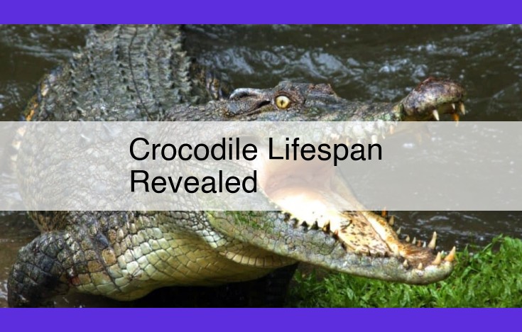 The Amazing Lifespan of Crocodiles: Unraveling Longevity Secrets from Captivity and the Wild