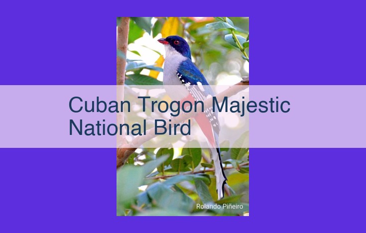 Discover the Enchanting Cuban Trogon: Cuba's Endangered National Bird