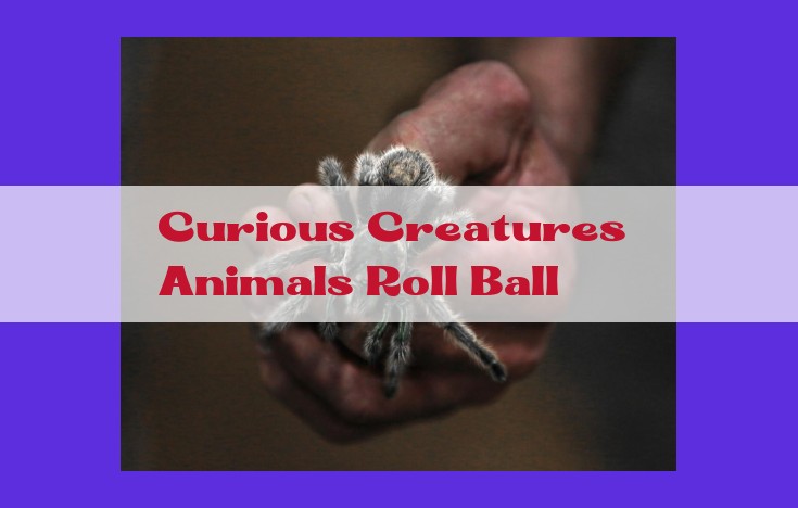 Unveiling the Secrets of Animal Ball Rolling: Insights into Animal Behavior, Curiosity, and Dynamics