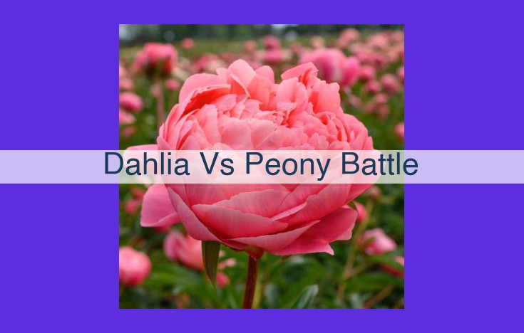 Dahlias vs. Peonies: The Ultimate Battle of Spring Bloomers - Size, Bloom Time, and Hardiness Compared