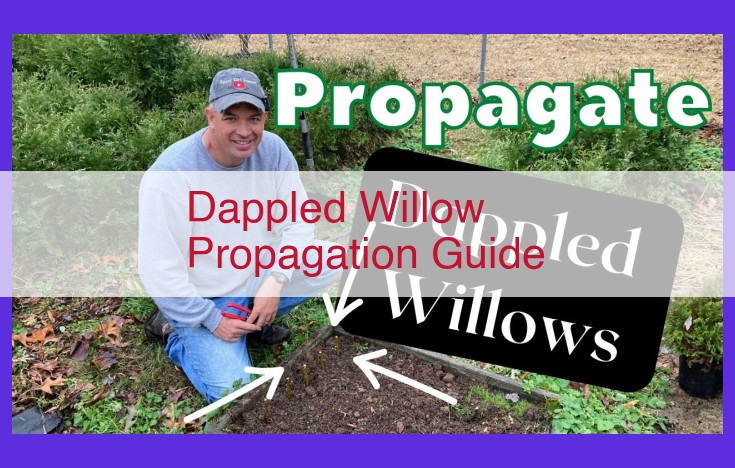 Ultimate Guide to Propagating Dappled Willows: Plant Care, Tips, and Propagation Techniques