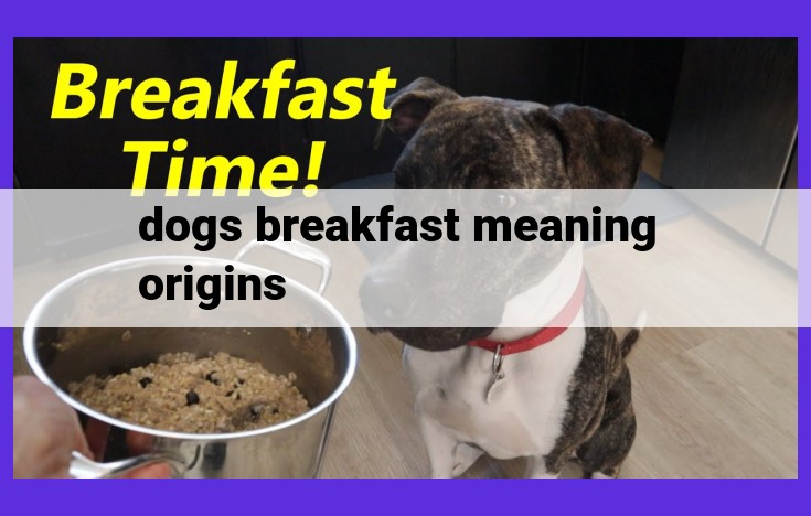 Dog's Breakfast: Exploring the Origin and Usage of a Chaotic Idiom