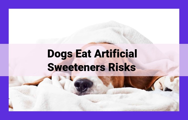 Artificial Sweeteners: Understand the Risks and Protect Your Dog