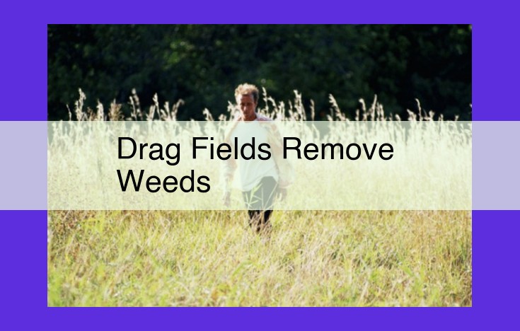 Innovative Drag Fields: Sustainable Weed Removal for Agriculture and Landscaping