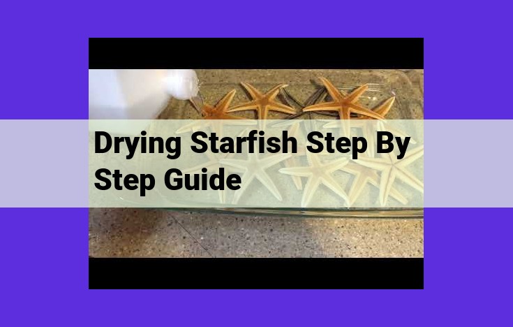 How to Preserve and Store Starfish: A Comprehensive Guide for Protection and Display