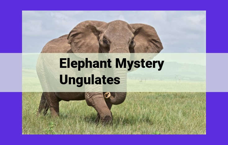 Elephants: Enigmatic, Intelligent, and Majestic Giants of the Animal Kingdom