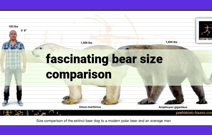 Discover the Diverse World of Bear Sizes: A Comparative Guide