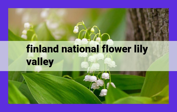 Lily of the Valley: Finland's National Flower and Symbol of Joy and Renewal