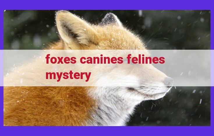 foxes canines felines mystery