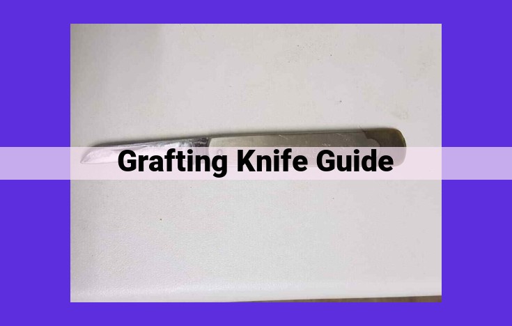 Enhance Grafting Accuracy and Efficiency with a Grafting Knife Guide