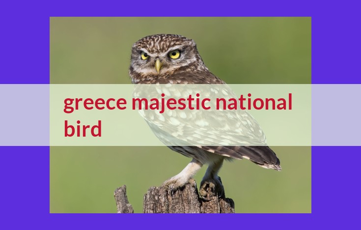 The Great Horned Owl: Greece's Majestic National Bird of Wisdom and Power