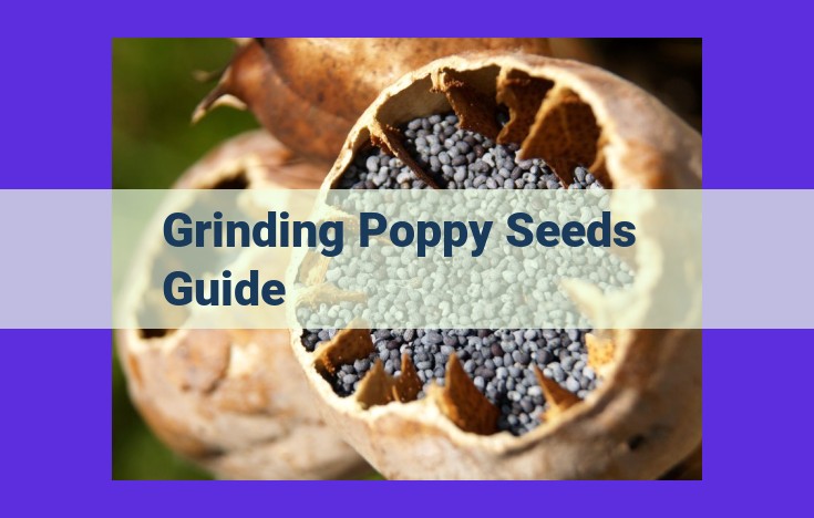 Unlock the Culinary Potential of Poppy Seeds: A Comprehensive Guide to Grinding and Preservation